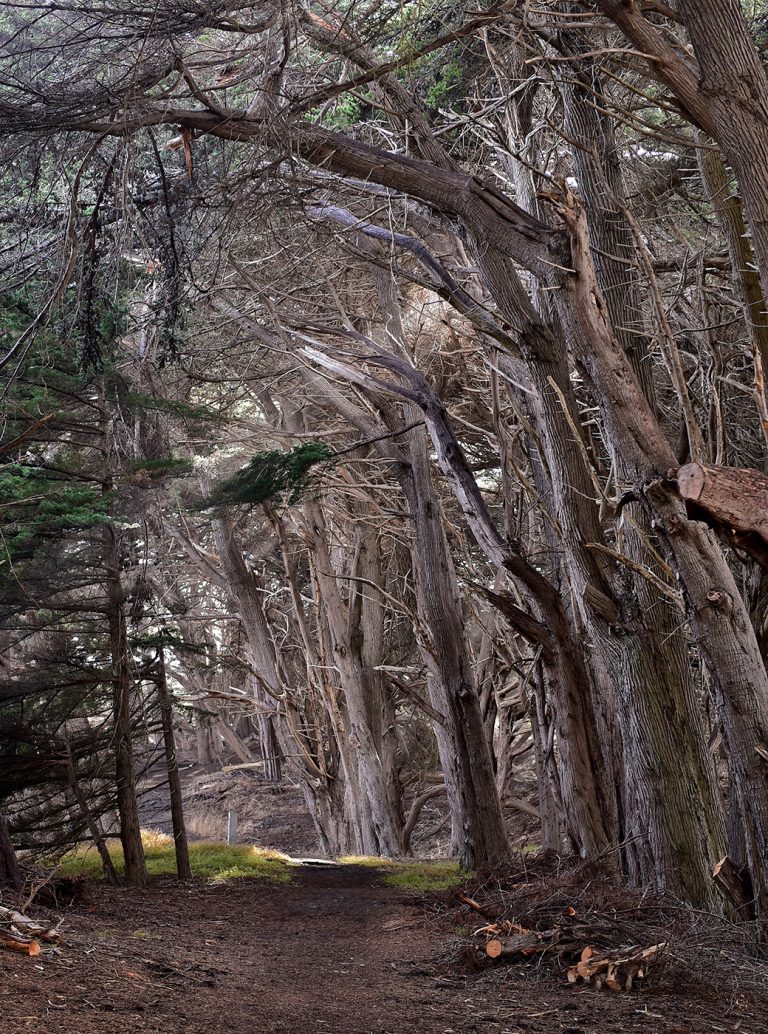 Sea Ranch, Sonoma